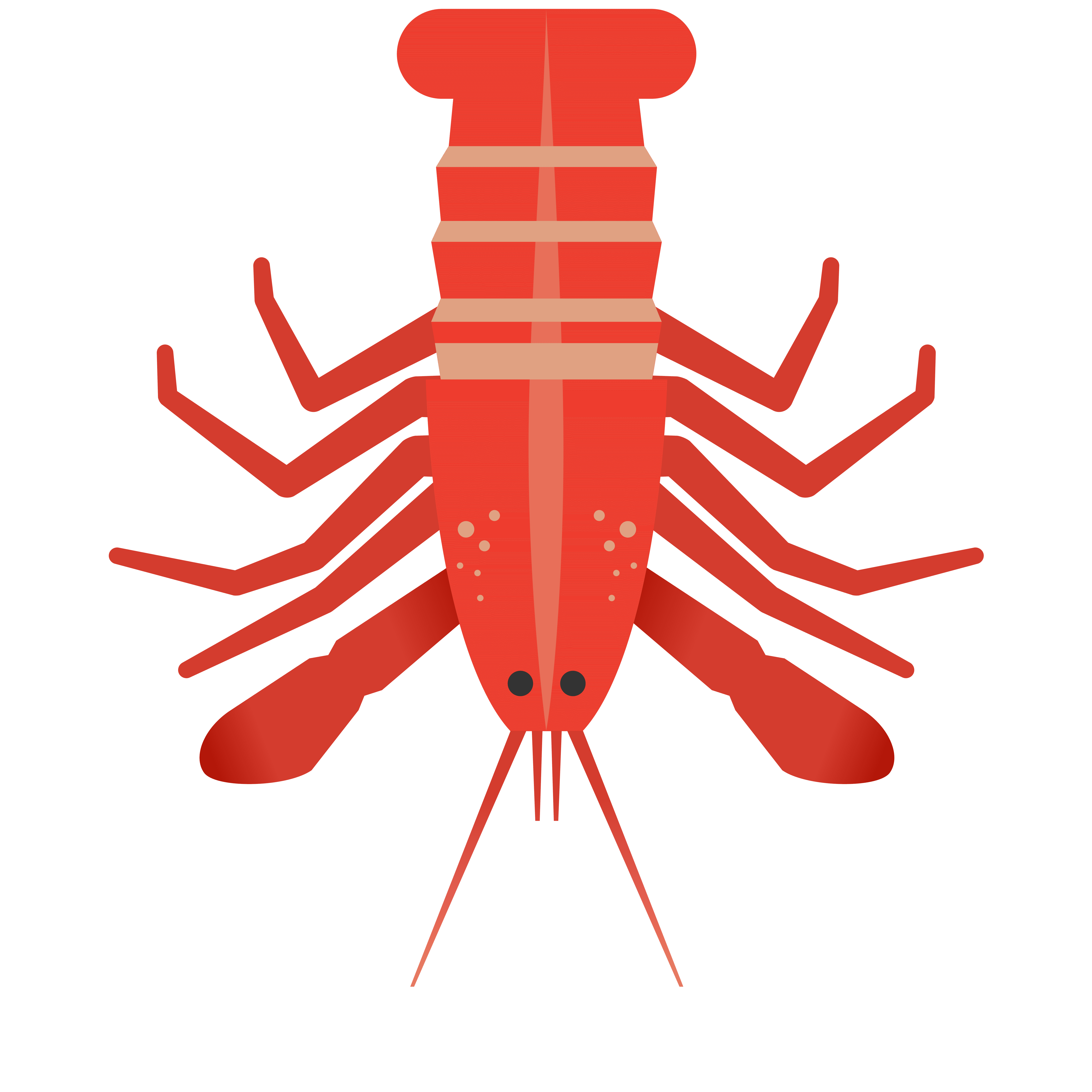 JoyClaw 龙虾形象主体